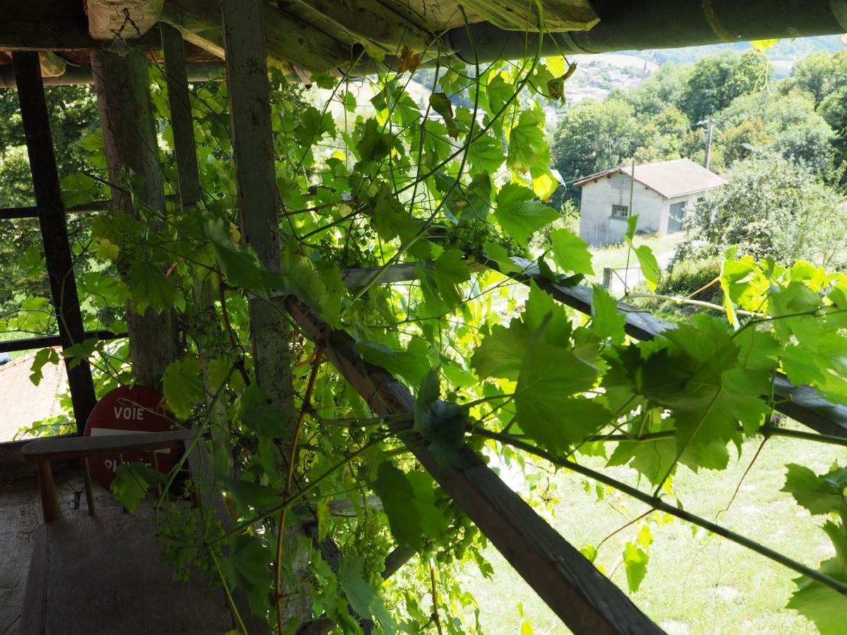 Le Chatel en Beaujolais Valsonne Extérieur photo